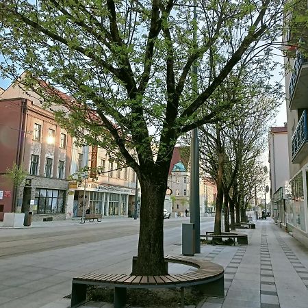Apartament Bulwar Gorzow Wielkopolski Dış mekan fotoğraf